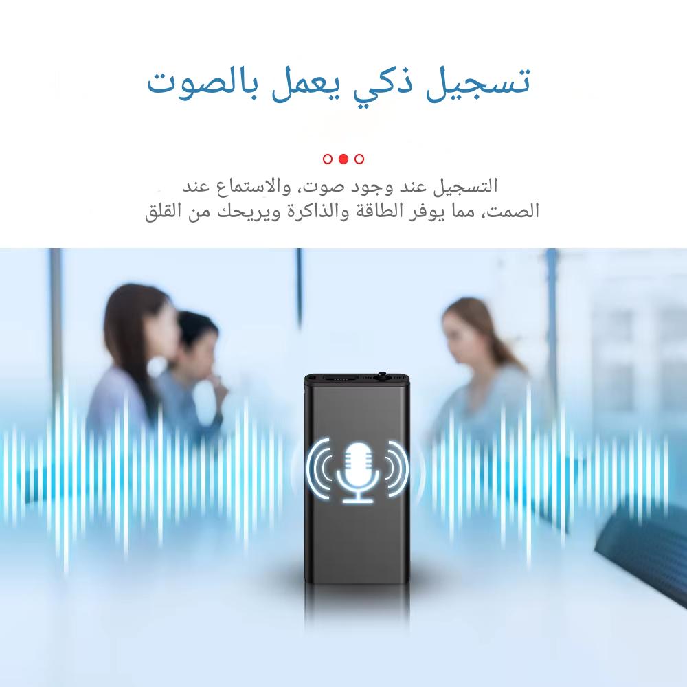 8GB Professional Voice-ar